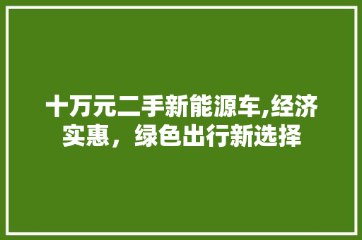 十万元二手新能源车,经济实惠，绿色出行新选择