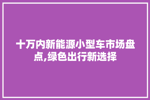 十万内新能源小型车市场盘点,绿色出行新选择