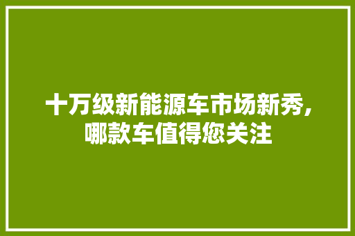 十万级新能源车市场新秀,哪款车值得您关注