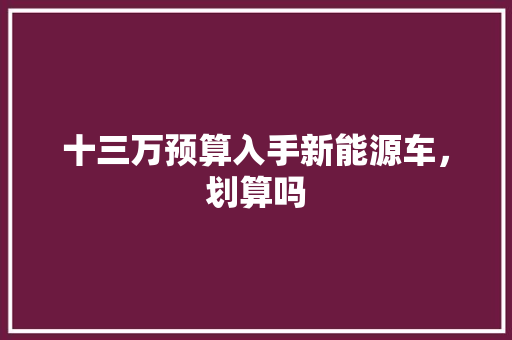 十三万预算入手新能源车，划算吗