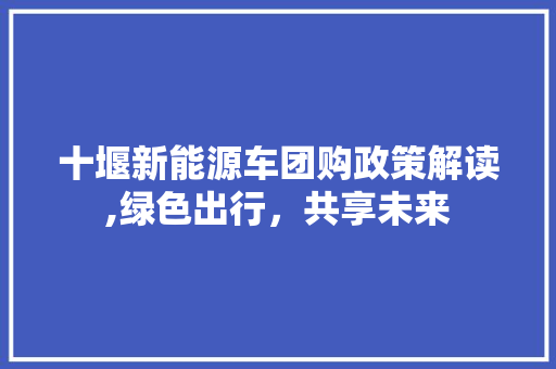 十堰新能源车团购政策解读,绿色出行，共享未来