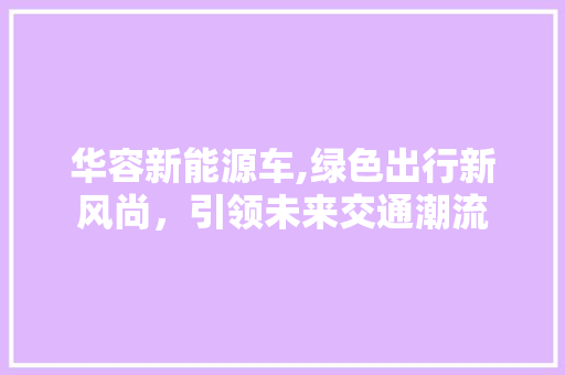 华容新能源车,绿色出行新风尚，引领未来交通潮流