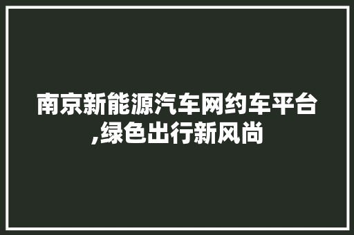 南京新能源汽车网约车平台,绿色出行新风尚