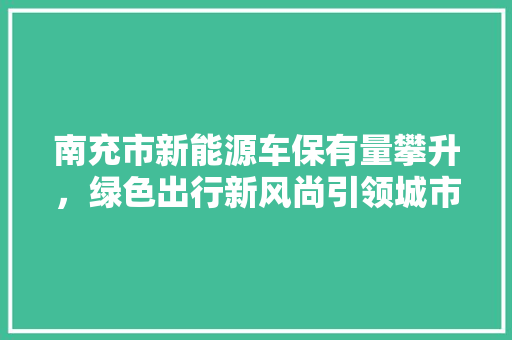 南充市新能源车保有量攀升，绿色出行新风尚引领城市发展