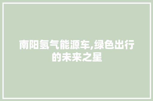 南阳氢气能源车,绿色出行的未来之星