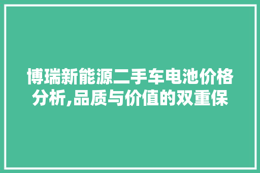 博瑞新能源二手车电池价格分析,品质与价值的双重保障