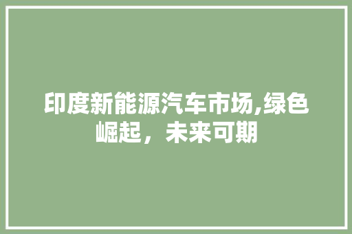 印度新能源汽车市场,绿色崛起，未来可期