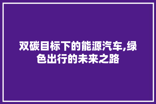 双碳目标下的能源汽车,绿色出行的未来之路