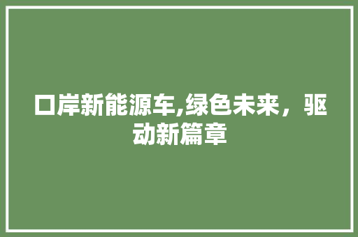 口岸新能源车,绿色未来，驱动新篇章