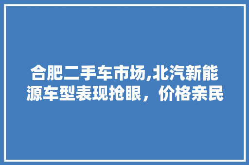 合肥二手车市场,北汽新能源车型表现抢眼，价格亲民受青睐