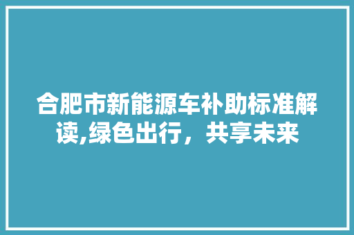 合肥市新能源车补助标准解读,绿色出行，共享未来