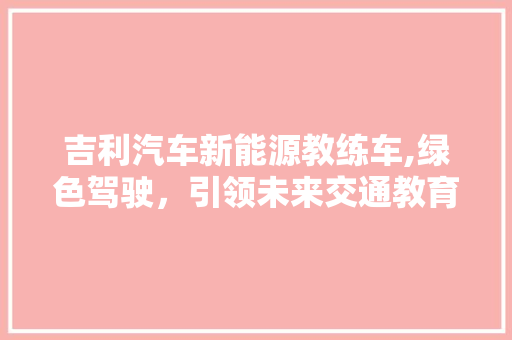 吉利汽车新能源教练车,绿色驾驶，引领未来交通教育新风尚