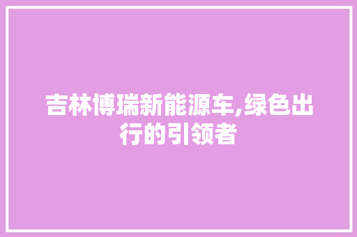 吉林博瑞新能源车,绿色出行的引领者