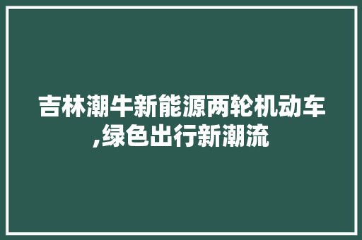 吉林潮牛新能源两轮机动车,绿色出行新潮流