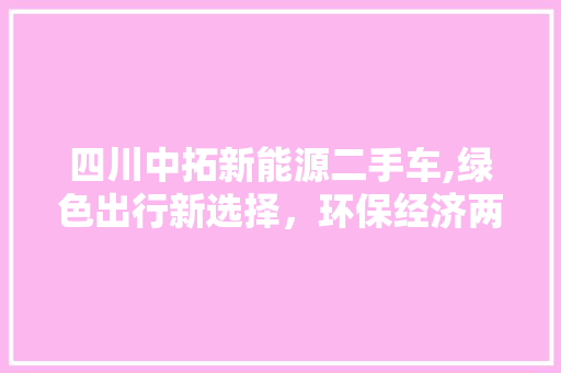 四川中拓新能源二手车,绿色出行新选择，环保经济两不误