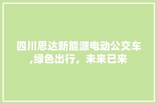 四川思达新能源电动公交车,绿色出行，未来已来