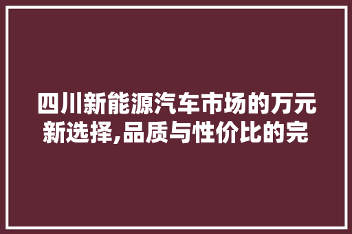 四川新能源汽车市场的万元新选择,品质与性价比的完美融合