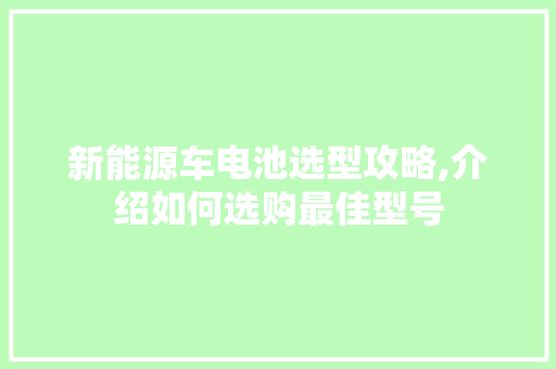 新能源车电池选型攻略,介绍如何选购最佳型号