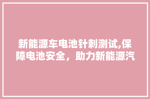 新能源车电池针刺测试,保障电池安全，助力新能源汽车发展