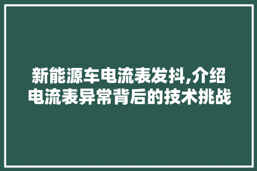 新能源车电流表发抖,介绍电流表异常背后的技术挑战