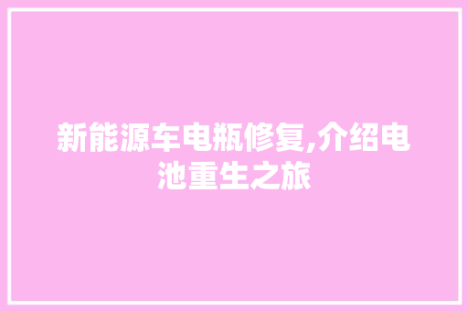 新能源车电瓶修复,介绍电池重生之旅