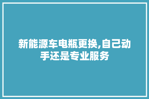 新能源车电瓶更换,自己动手还是专业服务