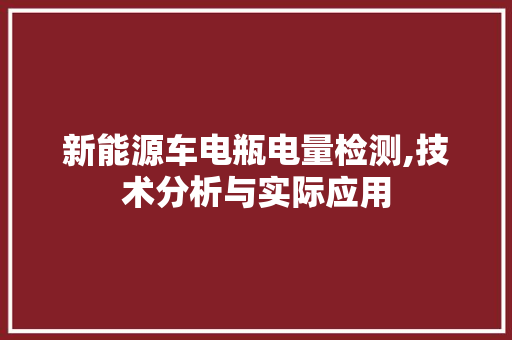 新能源车电瓶电量检测,技术分析与实际应用