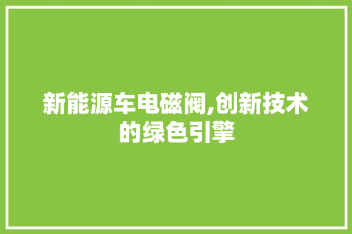 新能源车电磁阀,创新技术的绿色引擎