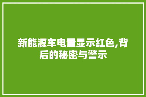 新能源车电量显示红色,背后的秘密与警示