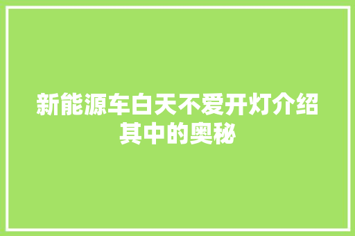 新能源车白天不爱开灯介绍其中的奥秘