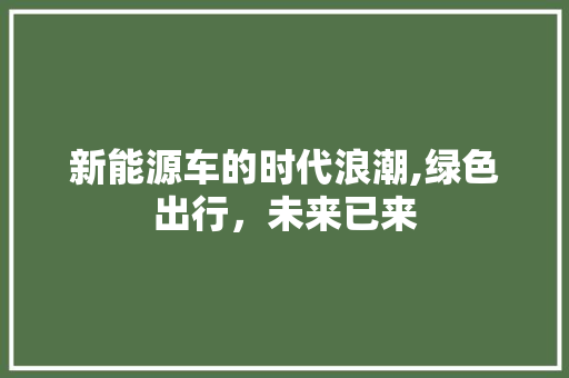 新能源车的时代浪潮,绿色出行，未来已来