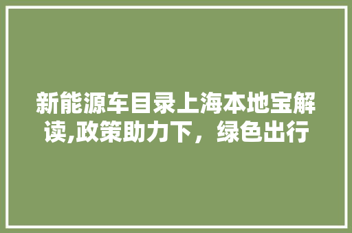 新能源车目录上海本地宝解读,政策助力下，绿色出行新篇章