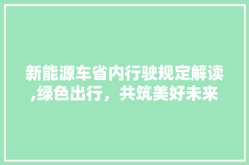 新能源车省内行驶规定解读,绿色出行，共筑美好未来