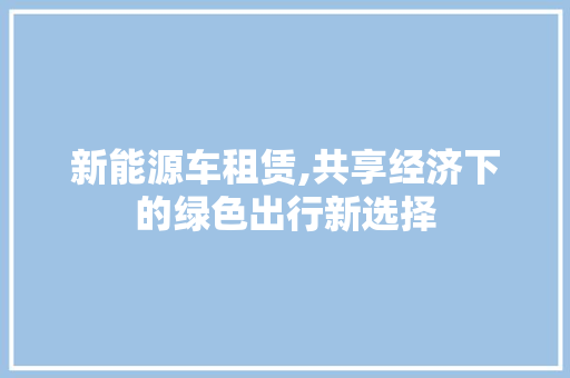 新能源车租赁,共享经济下的绿色出行新选择