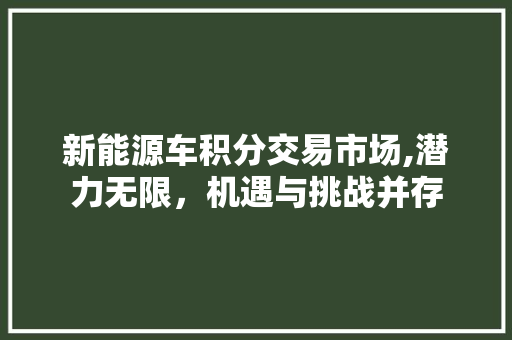 新能源车积分交易市场,潜力无限，机遇与挑战并存