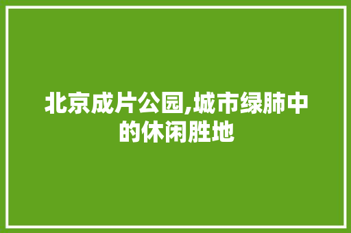 北京成片公园,城市绿肺中的休闲胜地