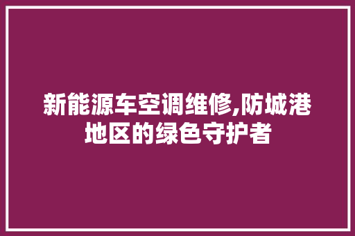 新能源车空调维修,防城港地区的绿色守护者