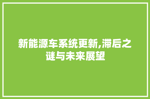 新能源车系统更新,滞后之谜与未来展望