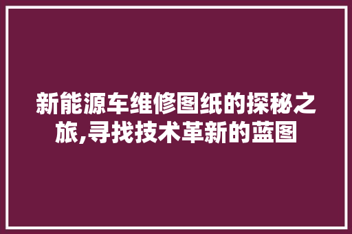 新能源车维修图纸的探秘之旅,寻找技术革新的蓝图