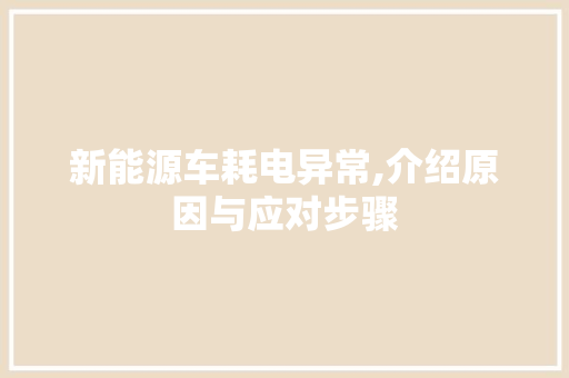 新能源车耗电异常,介绍原因与应对步骤