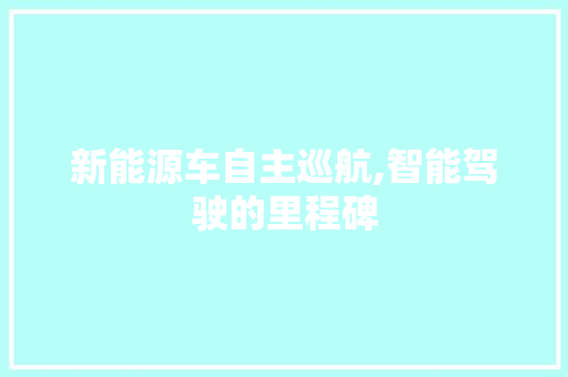 新能源车自主巡航,智能驾驶的里程碑