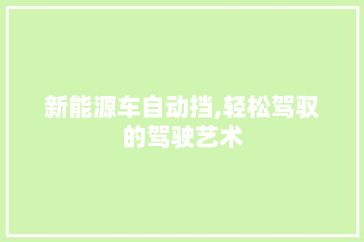 新能源车自动挡,轻松驾驭的驾驶艺术