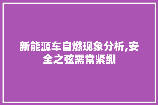 新能源车自燃现象分析,安全之弦需常紧绷