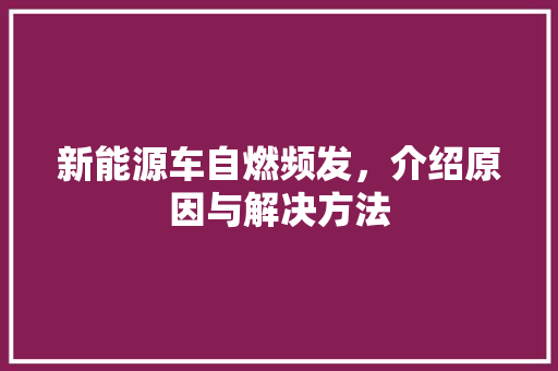 新能源车自燃频发，介绍原因与解决方法