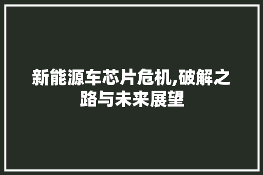 新能源车芯片危机,破解之路与未来展望