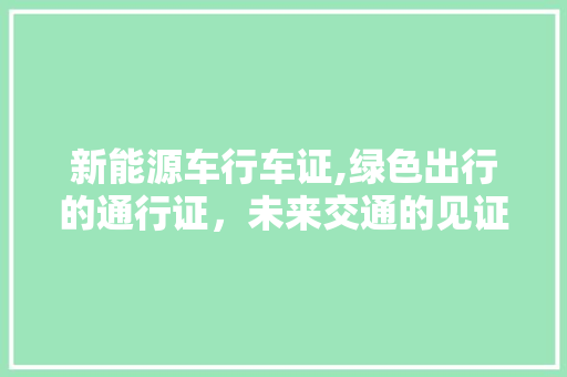 新能源车行车证,绿色出行的通行证，未来交通的见证者