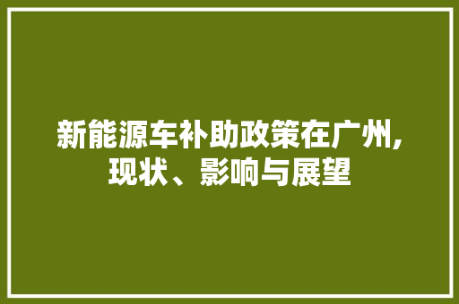 新能源车补助政策在广州,现状、影响与展望