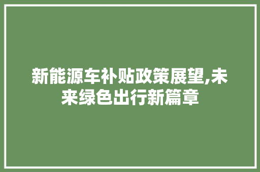 新能源车补贴政策展望,未来绿色出行新篇章  第1张