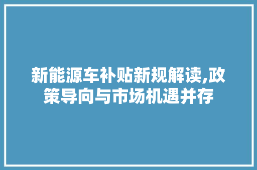 新能源车补贴新规解读,政策导向与市场机遇并存