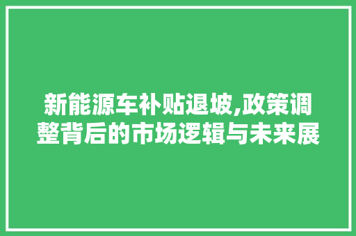 新能源车补贴退坡,政策调整背后的市场逻辑与未来展望